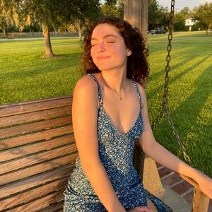 Princess polly dress